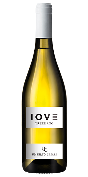 Umberto Cesari IOVE Sangiovese Rubicone IGT Emilia-Romagna Italien Sangiovese Aromen von roten Beeren, Kirschen, Zimt und Nelke. Am Gaumen saftig und frisch mit Noten von reifen Früchten, lebendiger Säure und sanften Tanninen. Langer Abgang mit fruchtigem und leicht würzigem Finish. Wein kaufen