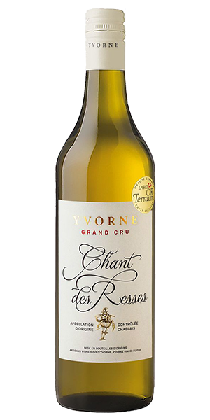 Artisans Vignerons d Yvorne Yvorne Chant des Resses AOC Waadt, Chablais Schweiz Chasselas Erfrischende und fruchtige Aromen von Ananas und Zitrusfrüchten, blumig, vom Terroir geprägte mineralische Noten (Feuerstein). Jugendlicher, frischer Auftakt, rassig, stoffig, natürliche leichte Bitterkeit. Wein kaufen.